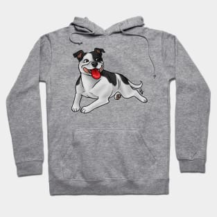 Dog - Staffordshire Bull Terrier - Black and White Hoodie